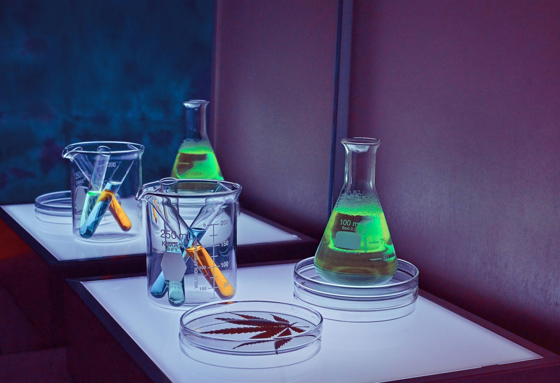 Pharmaceutical & Life Sciences